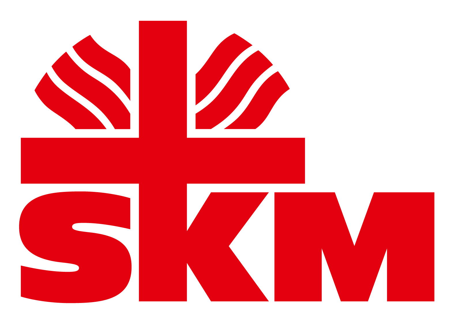 SKM Bundesverband