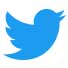 Logo Twitter